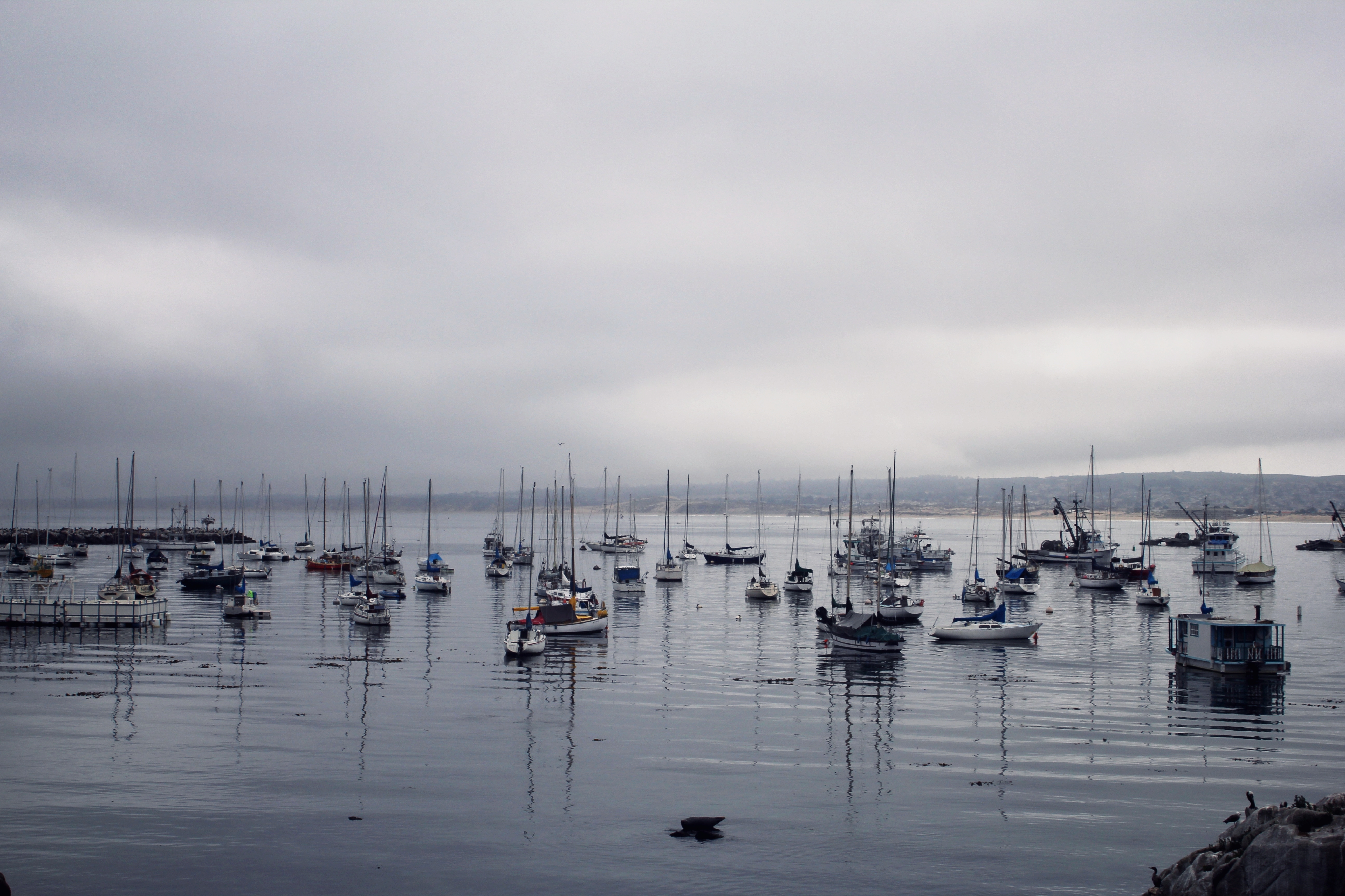 Harbour Boats at Monterey Bay, California