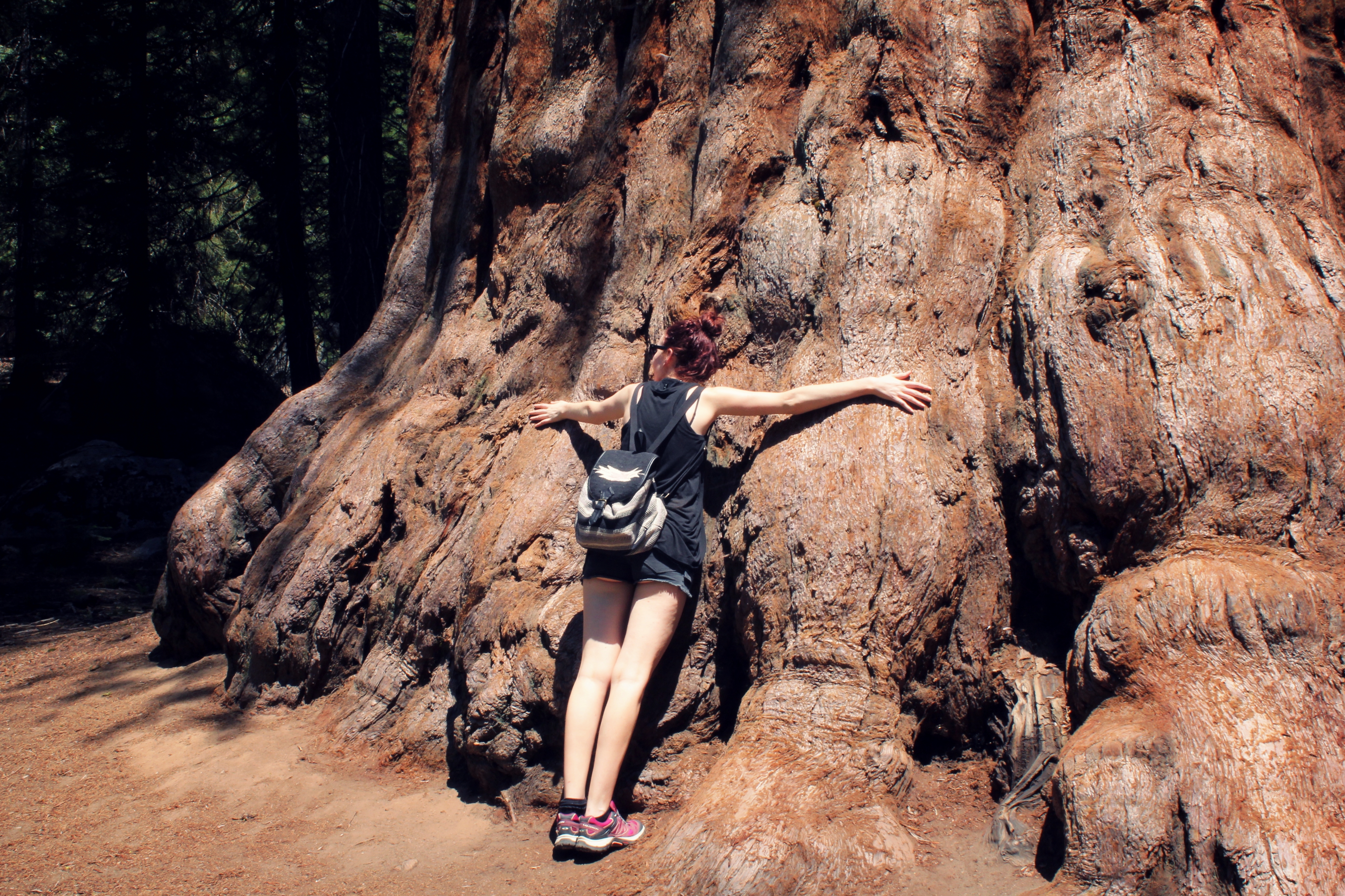Hugging Giants! in Sequoia National Park, California