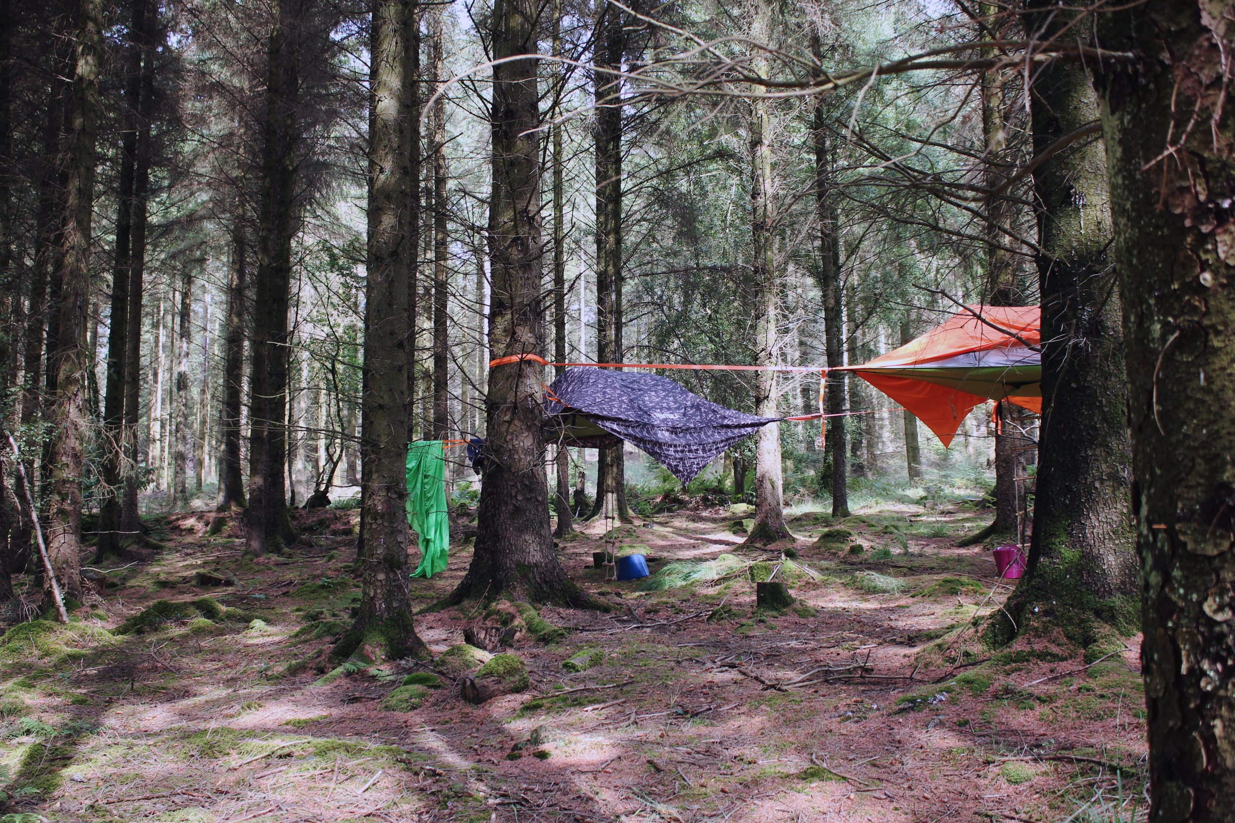 Summer treetop camping, UK