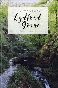 Lydford Gorge Pin 