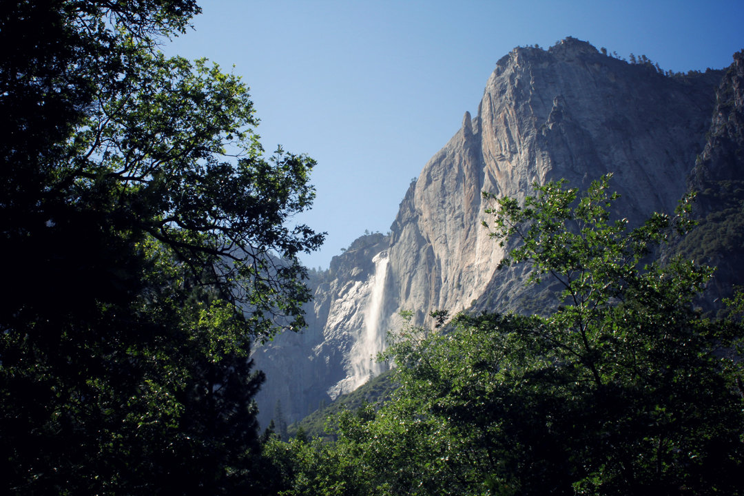 Yosemite Falls through the Trees