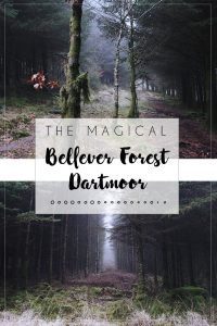 Bellever Forest, Dartmoor Pin