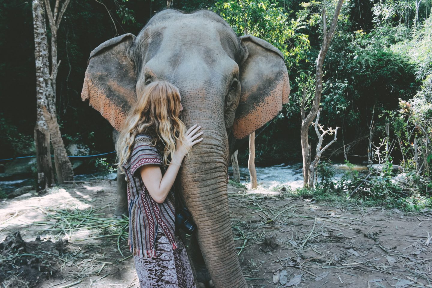 Sleepover at Elephant Sanctuary | Pt 1.